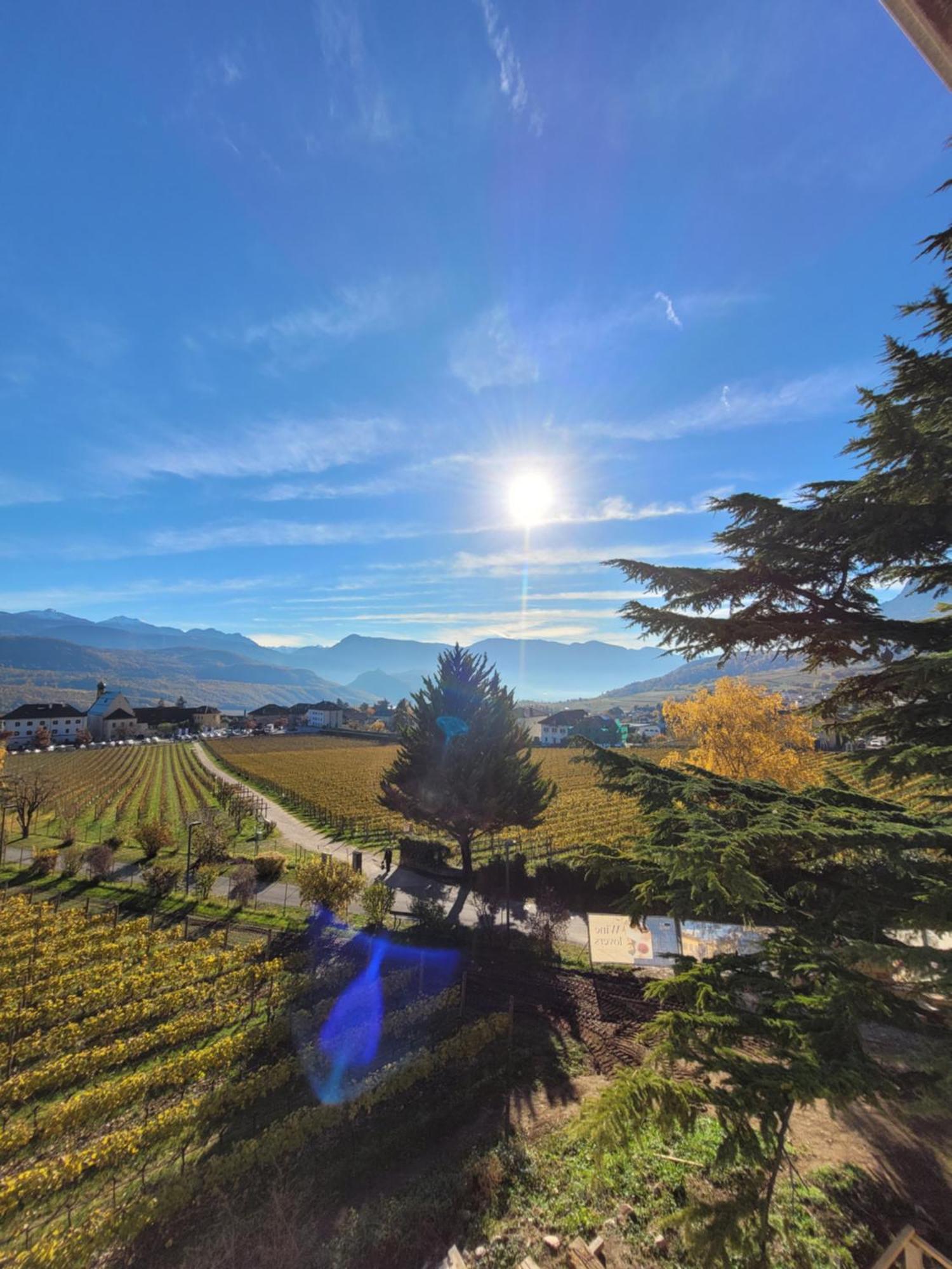 Castel Sallegg Suites Adults Only Caldaro Dış mekan fotoğraf