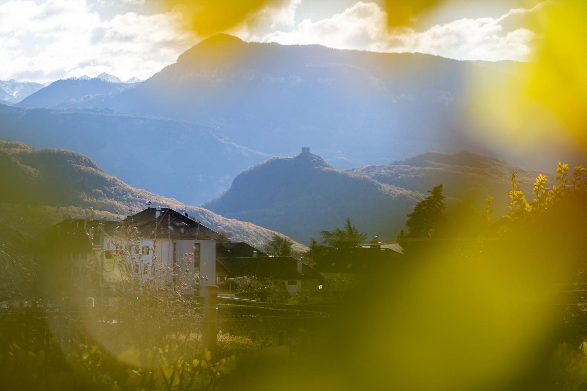 Castel Sallegg Suites Adults Only Caldaro Dış mekan fotoğraf