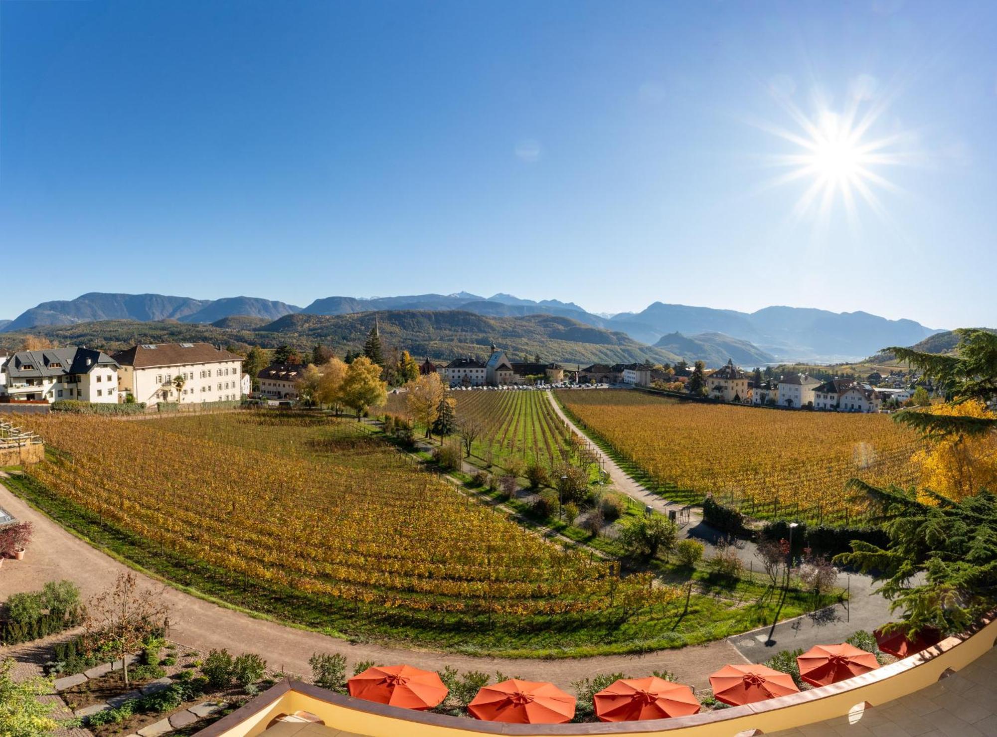 Castel Sallegg Suites Adults Only Caldaro Dış mekan fotoğraf